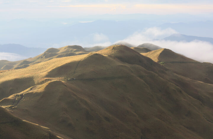 Mt Pulag