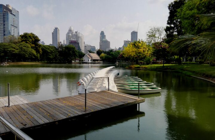 boats at Lumphini Park