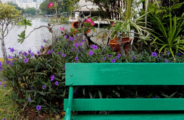 Lumphini Park Bangkok